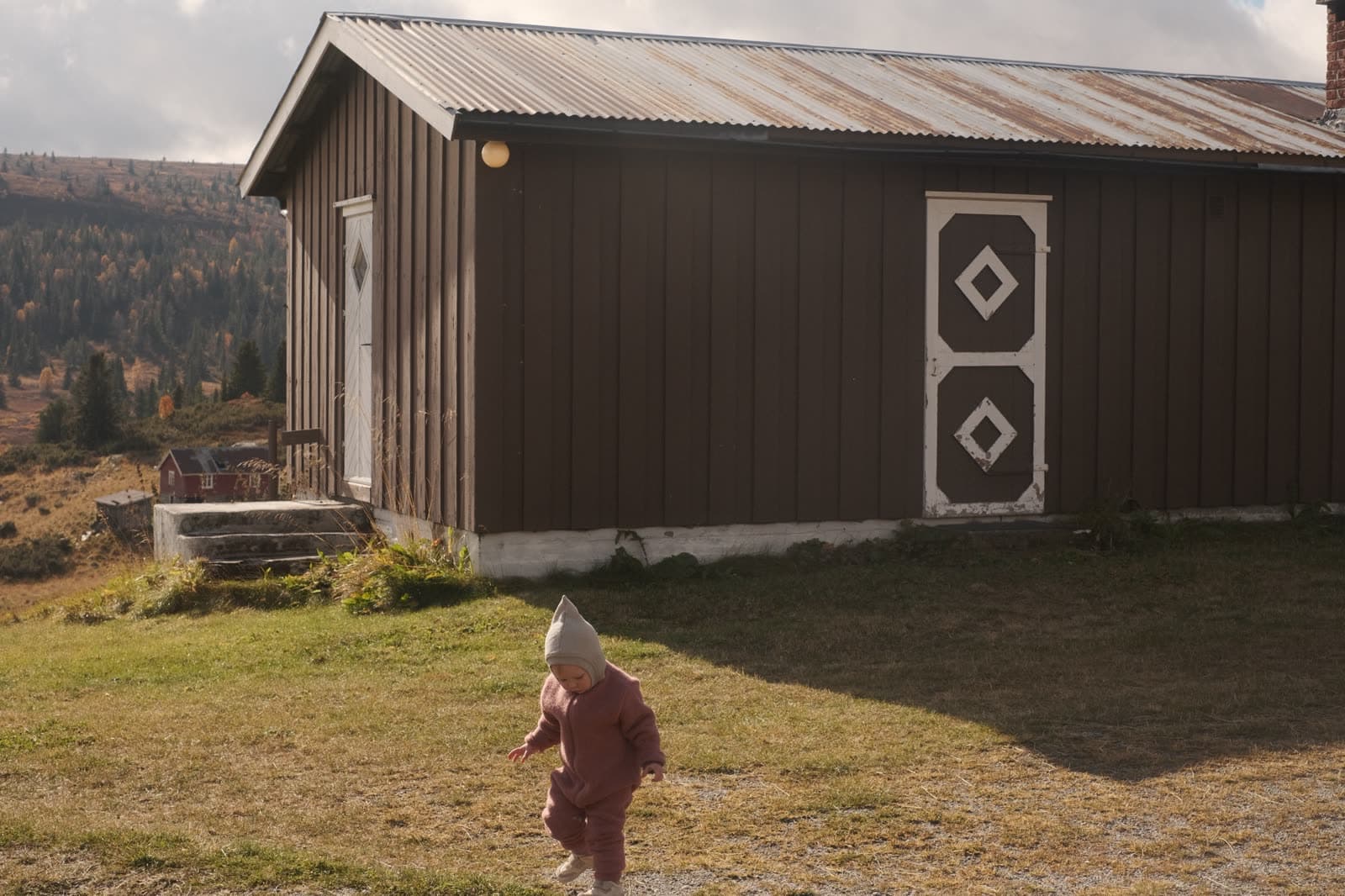 Et lite barn går på gresset foran en brun hytte på fjellet